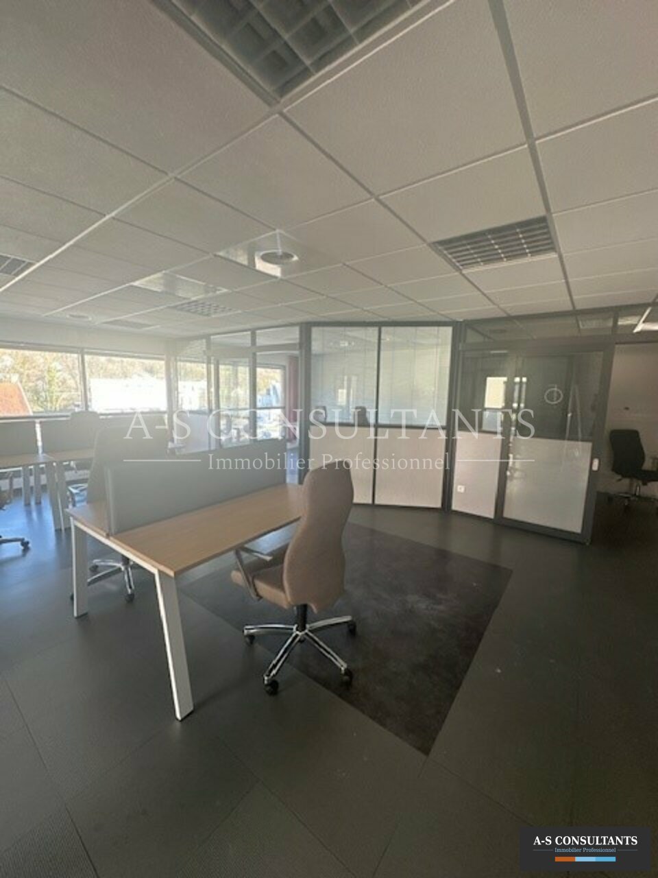 BUREAUX LOCATION GRÉSY-SUR-AIX 085645286_73_0273_4.jpg