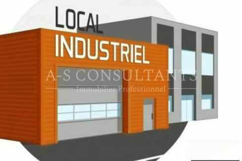 BATIMENT INDUSTRIEL A VENDRE LA CÔTE-SAINT-ANDRÉ 342237986_38_0345_3.jpg