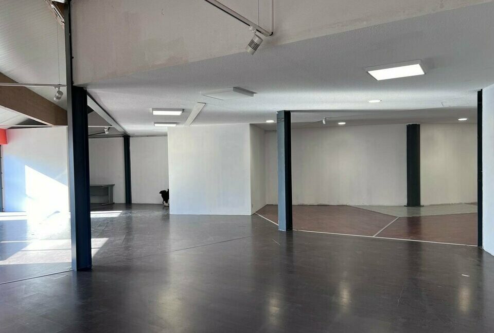 LOCAL COMMERCIAL LOCATION TOURNON 343097444_73_0238_7.jpg