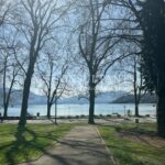 LOCAL PROFESSIONNEL LOCATION ANNECY 460551489_74_0103_2.jpg