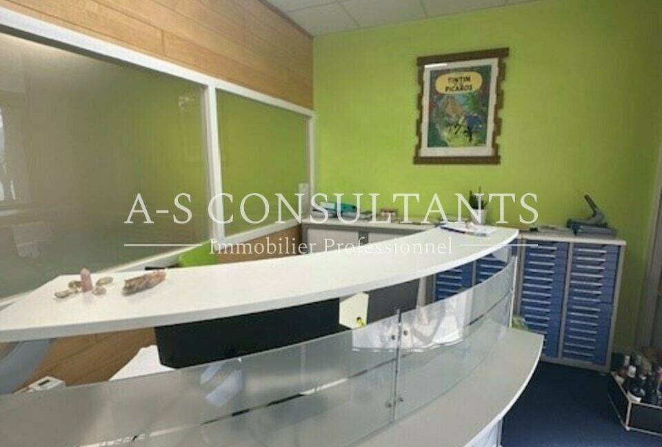 LOCAL PROFESSIONNEL LOCATION ANNECY 460553659_74_0103_4.jpg