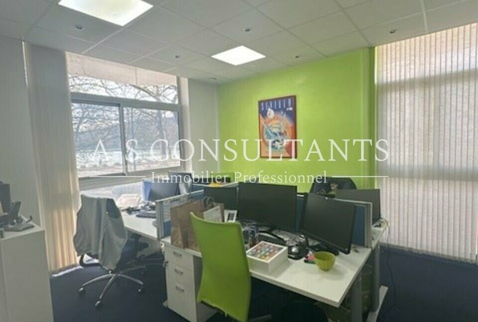 LOCAL PROFESSIONNEL LOCATION ANNECY 460554683_74_0103_5.jpg