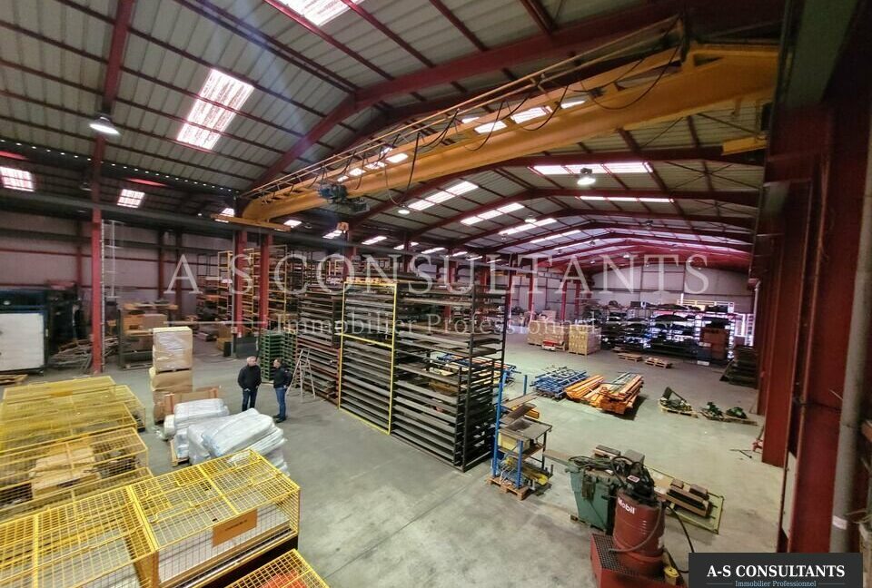 BATIMENT INDUSTRIEL LOCATION ALBON 583227877_26_0243_2.jpg