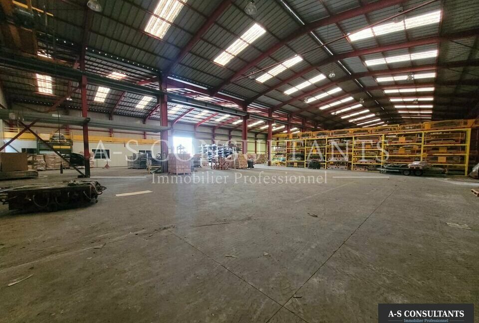 BATIMENT INDUSTRIEL LOCATION ALBON 583236872_26_0243_4.jpg