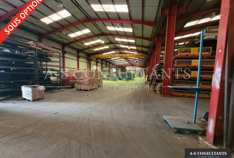BATIMENT INDUSTRIEL LOCATION ALBON 583241515_26_0243_5.jpg
