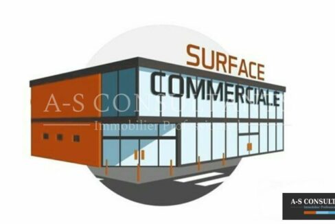 LOCAL COMMERCIAL LOCATION SAINT GENIS LAVAL 69_0060_2.jpg
