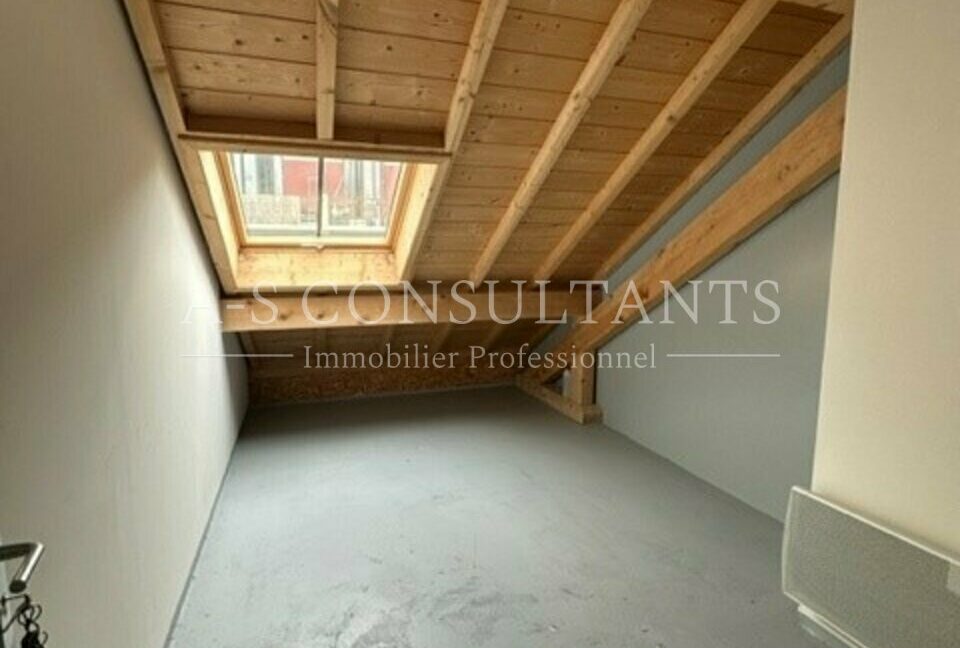 LOCAL COMMERCIAL LOCATION CHAMBERY 714496148_73_0200_10.jpg