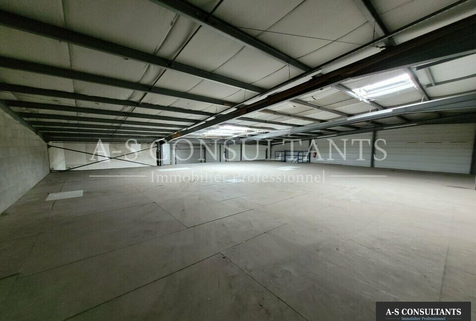 LOCAL D'ACTIVITE LOCATION TOUSSIEU 719849721_69_0160_4.jpg