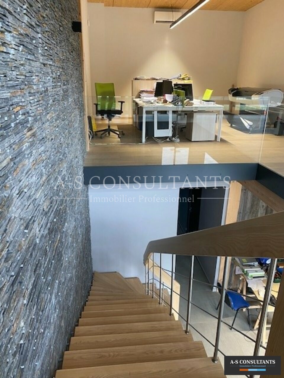 LOCAL PROFESSIONNEL LOCATION ALBERTVILLE 73_0027_5.jpg