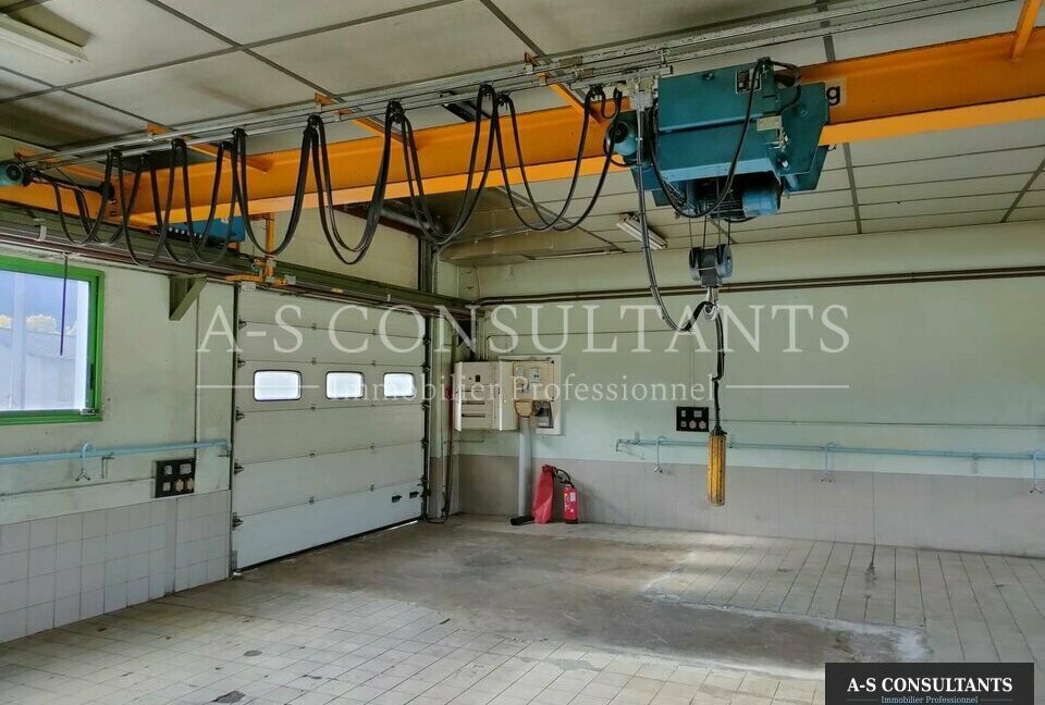 LOCAL D'ACTIVITE A VENDRE DORTAN 01_0091_4.jpg