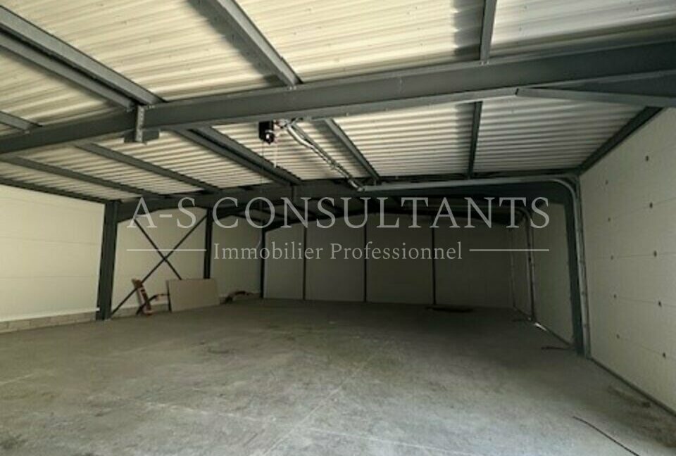 ENTREPOT A VENDRE SONNAZ 119916597_73_0281_2.jpg