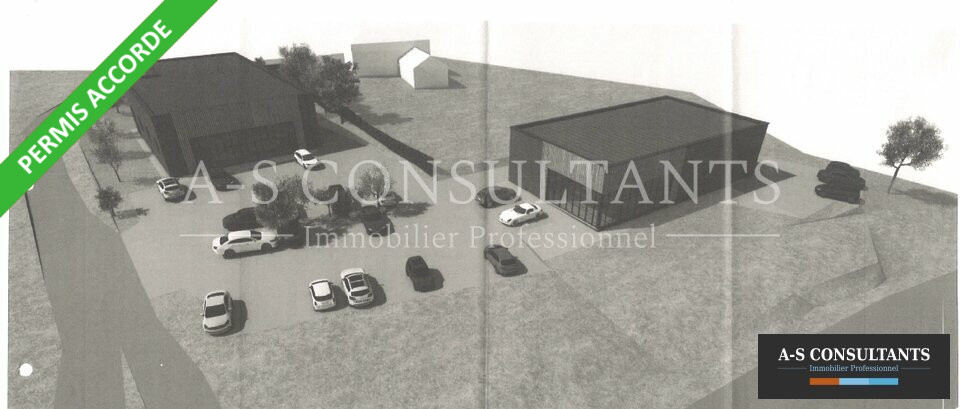 LOCAL COMMERCIAL LOCATION DOMESSIN 339656204_73_0308_1.jpg