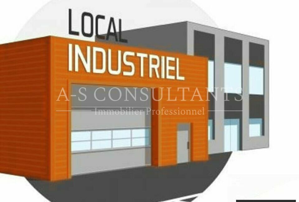 BATIMENT INDUSTRIEL A VENDRE LA CÔTE-SAINT-ANDRÉ 342237986_38_0345_3.jpg