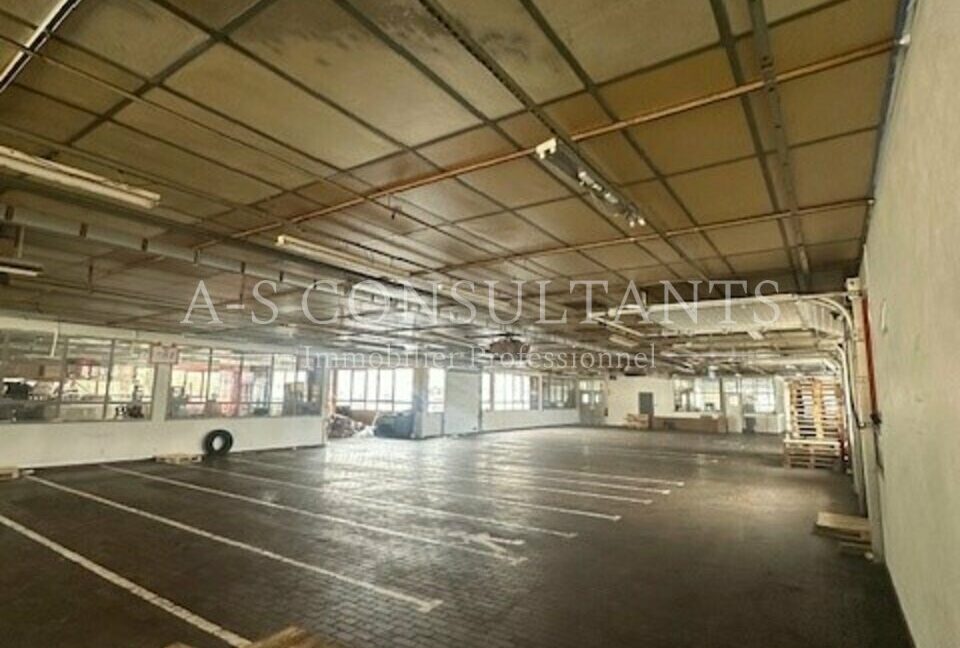 ENTREPOT LOCATION SAINT PIERRE EN FAUCIGNY 344257829_74_0085_5.jpg