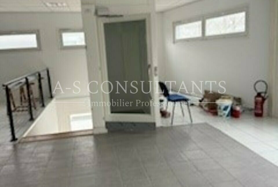 LOCAL PROFESSIONNEL LOCATION VOGLANS 387744533_73_0271_2.jpg