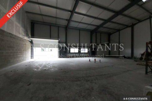 LOCAL D'ACTIVITE LOCATION NIVOLAS VERMELLE 38_0076_2.jpg