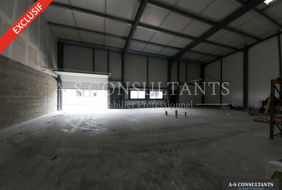 LOCAL D'ACTIVITE LOCATION NIVOLAS VERMELLE 38_0076_2.jpg
