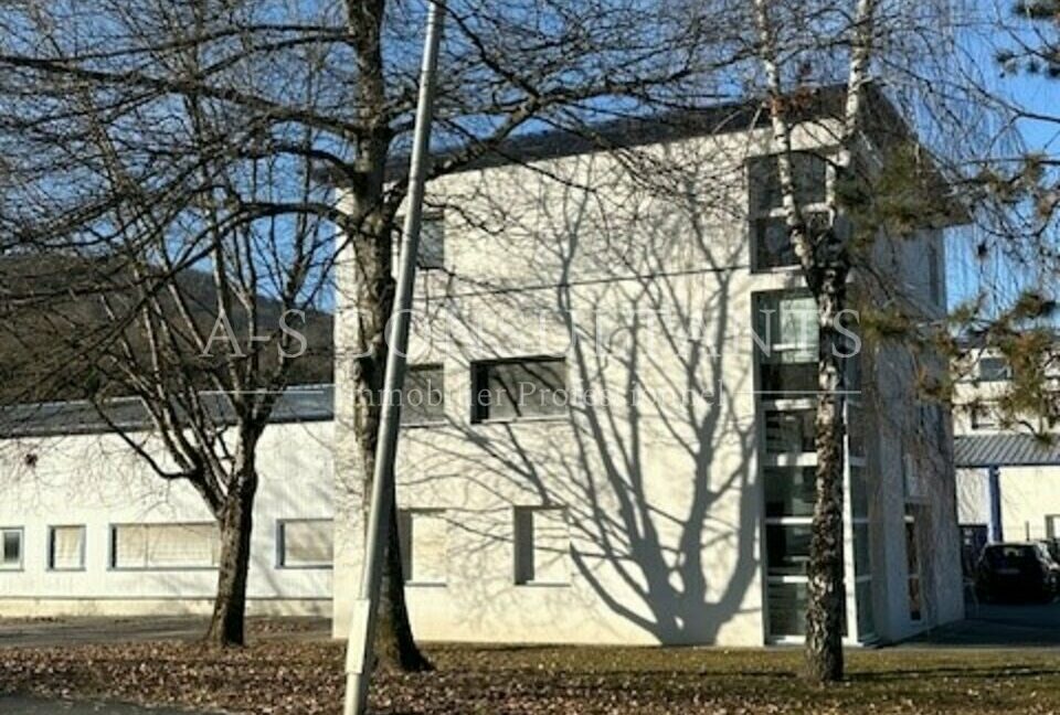 LOCAL D'ACTIVITE - ENTREPOT LOCATION ALLONZIER-LA-CAILLE 416843944_74_0091_1.jpg