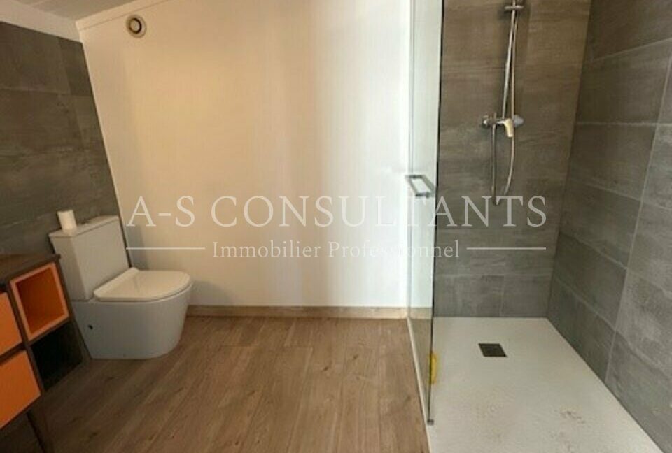 LOCAL D'ACTIVITE - ENTREPOT LOCATION ALLONZIER-LA-CAILLE 416847519_74_0091_4.jpg