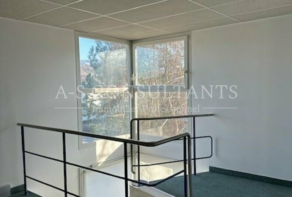 LOCAL D'ACTIVITE - ENTREPOT LOCATION ALLONZIER-LA-CAILLE 416849697_74_0091_6.jpg