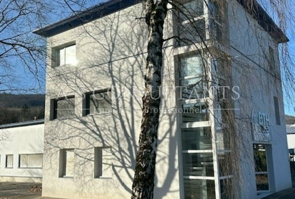 LOCAL D'ACTIVITE - ENTREPOT LOCATION ALLONZIER-LA-CAILLE 416850830_74_0091_7.jpg