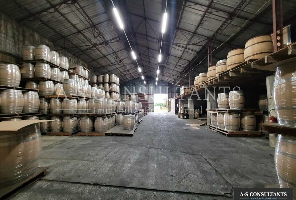 LOCAL D'ACTIVITE A VENDRE MORAS-EN-VALLOIRE 418306110_26_0248_4.jpg