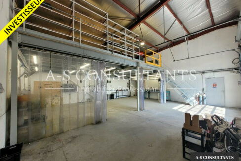 LOCAL D'ACTIVITE A VENDRE ROCHETOIRIN 451936095_38_0355_1.jpg