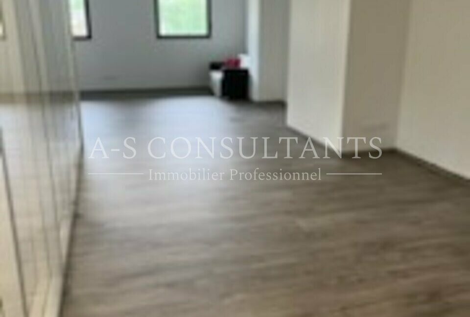 LOCAL D'ACTIVITE - ENTREPOT LOCATION CHALLES LES EAUX 667497300_73_0156_3.jpg