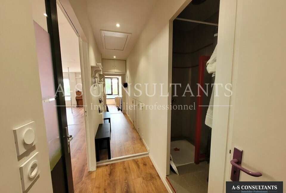 LOCAL PROFESSIONNEL A VENDRE LE PÉAGE-DE-ROUSSILLON 669945821_38_0351_2.jpg