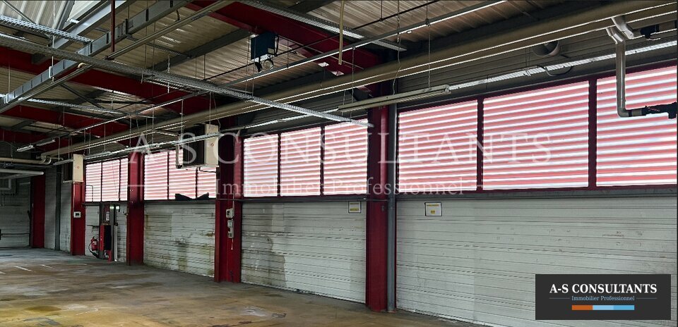 BATIMENT INDUSTRIEL A VENDRE AYSE 692224372_74_0106_1.jpg