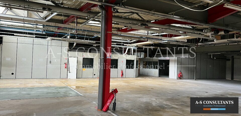 BATIMENT INDUSTRIEL A VENDRE AYSE 695126639_74_0105_1.jpg