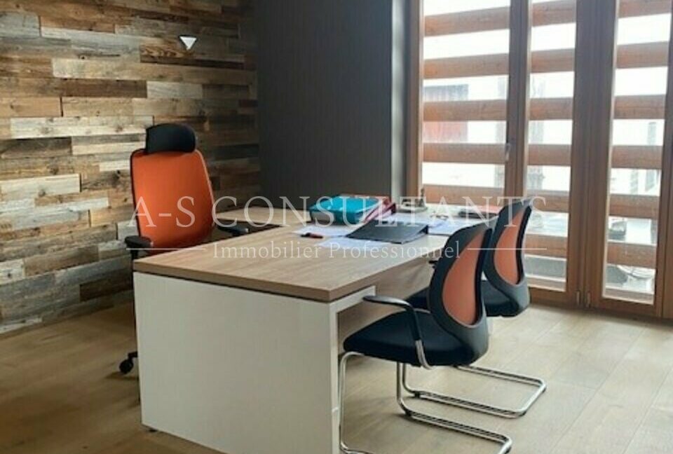 LOCAL PROFESSIONNEL LOCATION ALBERTVILLE 73_0027_3.jpg