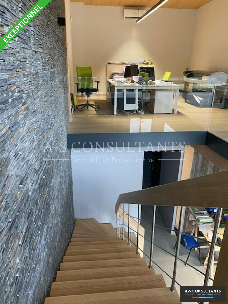 LOCAL PROFESSIONNEL LOCATION ALBERTVILLE 73_0027_5.jpg