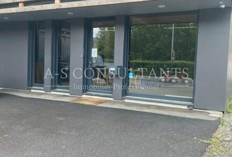 LOCAL PROFESSIONNEL LOCATION ALBERTVILLE 73_0027_7.jpg