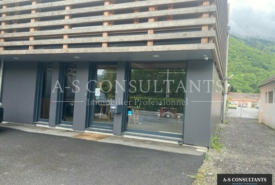 LOCAL PROFESSIONNEL LOCATION ALBERTVILLE 73_0027_8.jpg