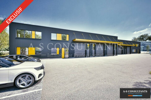 LOCAL D'ACTIVITE A VENDRE ANDANCETTE 789908043_26_0246_4.jpg