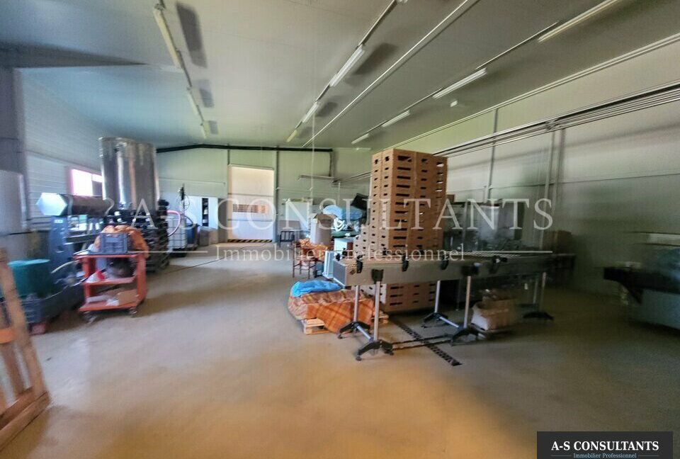 LOCAL COMMERCIAL LOCATION MORAS-EN-VALLOIRE 971390342_26_0245_5.jpg