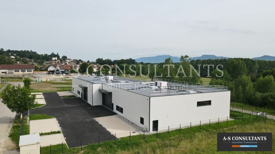 BATIMENT INDUSTRIEL A VENDRE GRANIEU 039360665_38_0336_1.jpg
