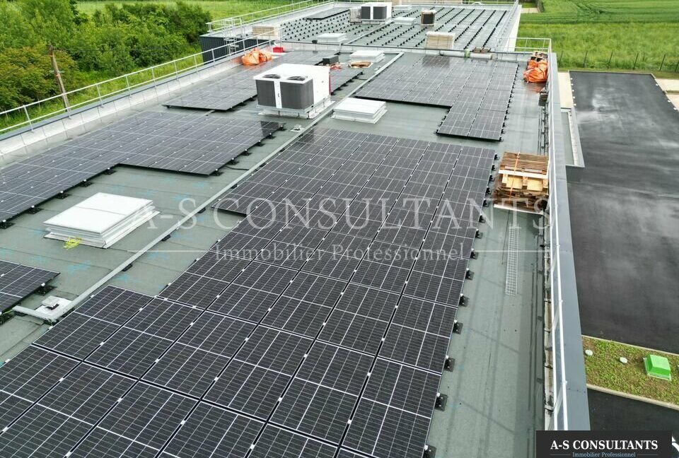 BATIMENT INDUSTRIEL A VENDRE GRANIEU 040067216_38_0336_10.jpg