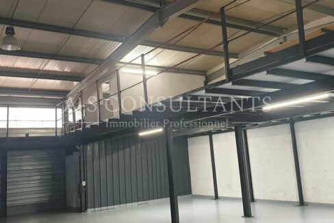 LOCAL D'ACTIVITE LOCATION ANNECY 226755581_74_0116_3.jpg