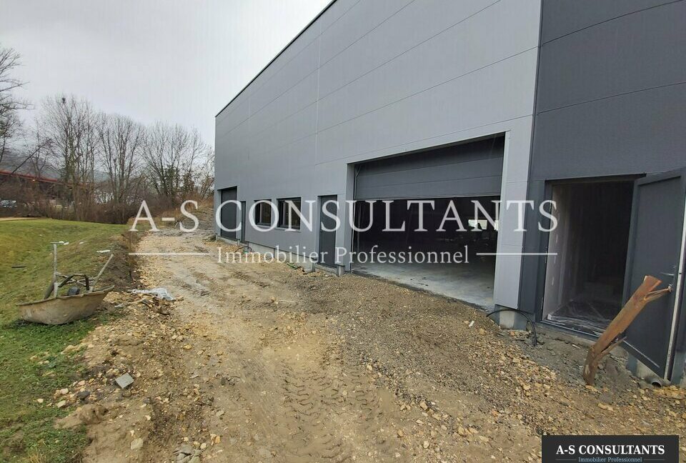 LOCAL D'ACTIVITE LOCATION NIVOLAS VERMELLE 38_0076_3.jpg