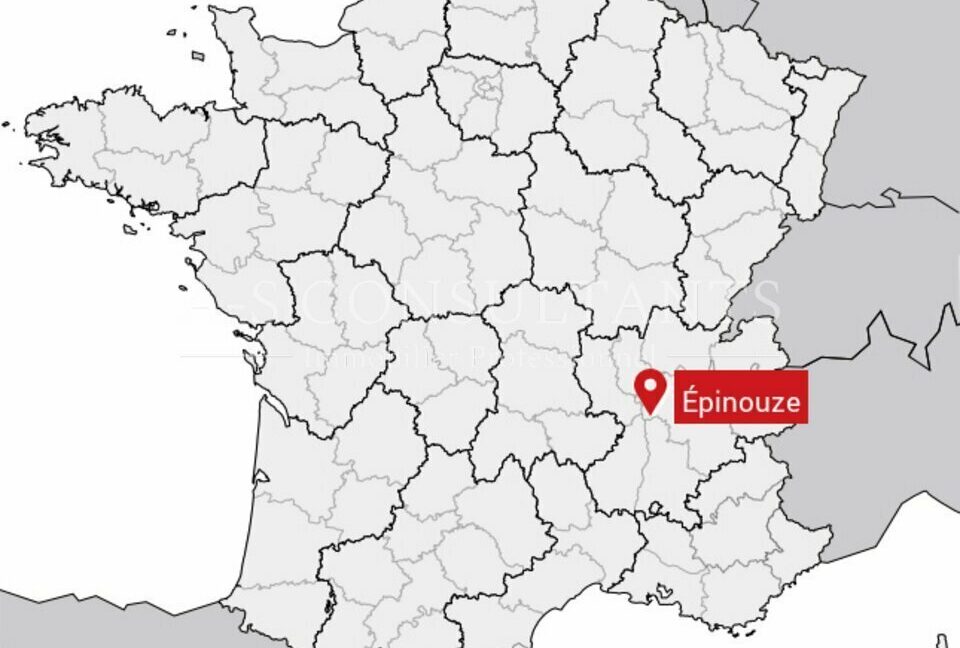 LOCAL D'ACTIVITE A VENDRE EPINOUZE 416378693_26_0090_3.jpg