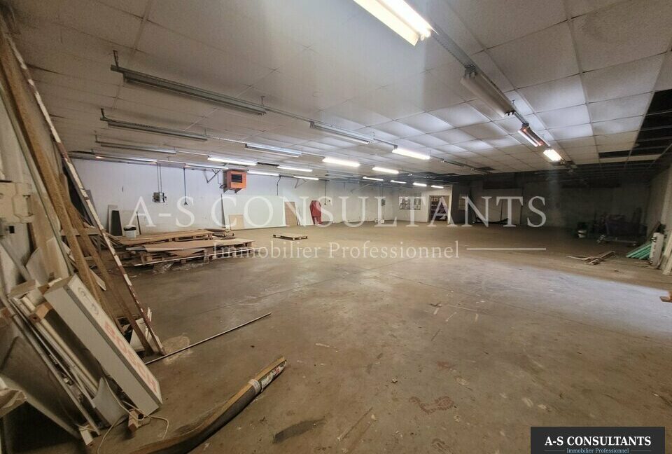 LOCAL D'ACTIVITE A VENDRE MOTTIER 432301732_38_0247_3.jpg