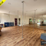 LOCAL PROFESSIONNEL A VENDRE LE PÉAGE-DE-ROUSSILLON 669950947_38_0351_3.jpg