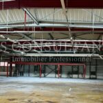 BATIMENT INDUSTRIEL A VENDRE AYSE 692225834_74_0106_2.jpg