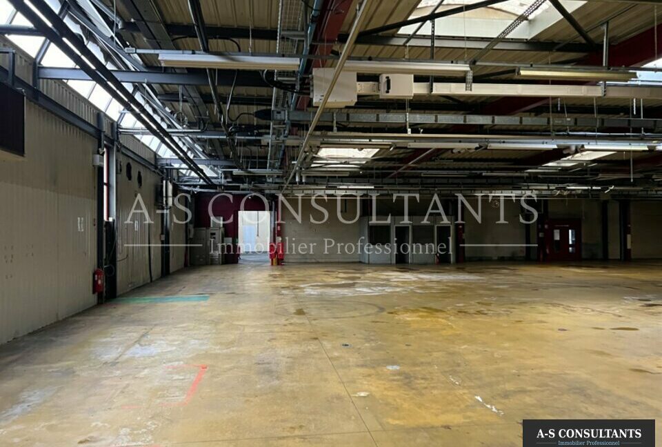 BATIMENT INDUSTRIEL A VENDRE AYSE 692227073_74_0106_3.jpg