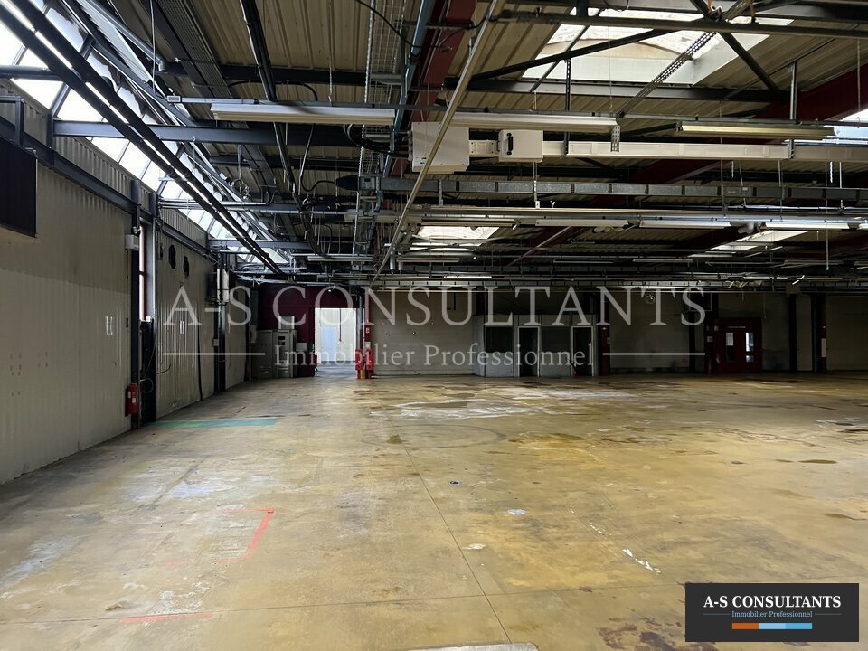 BATIMENT INDUSTRIEL A VENDRE AYSE 74_0108_4.jpg