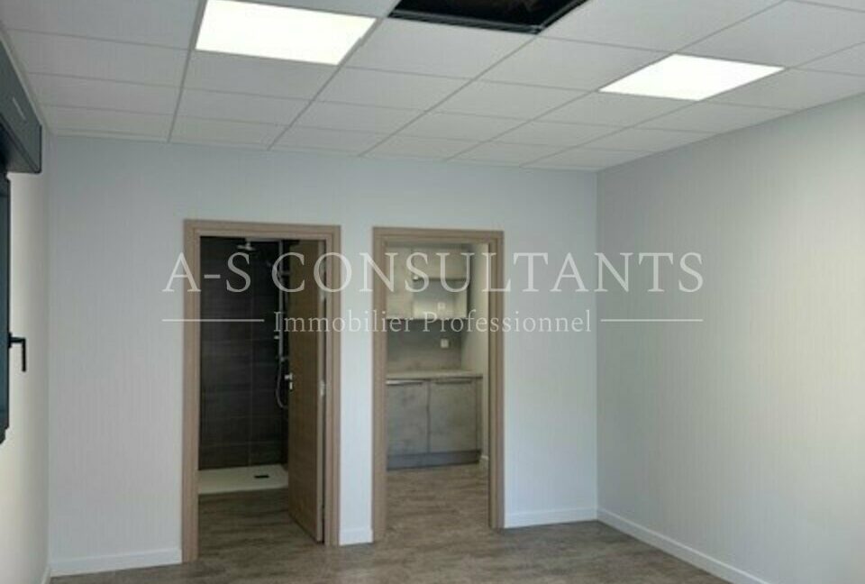 LOCAL D'ACTIVITE LOCATION LA RAVOIRE 965498207_73_0289_5.jpg