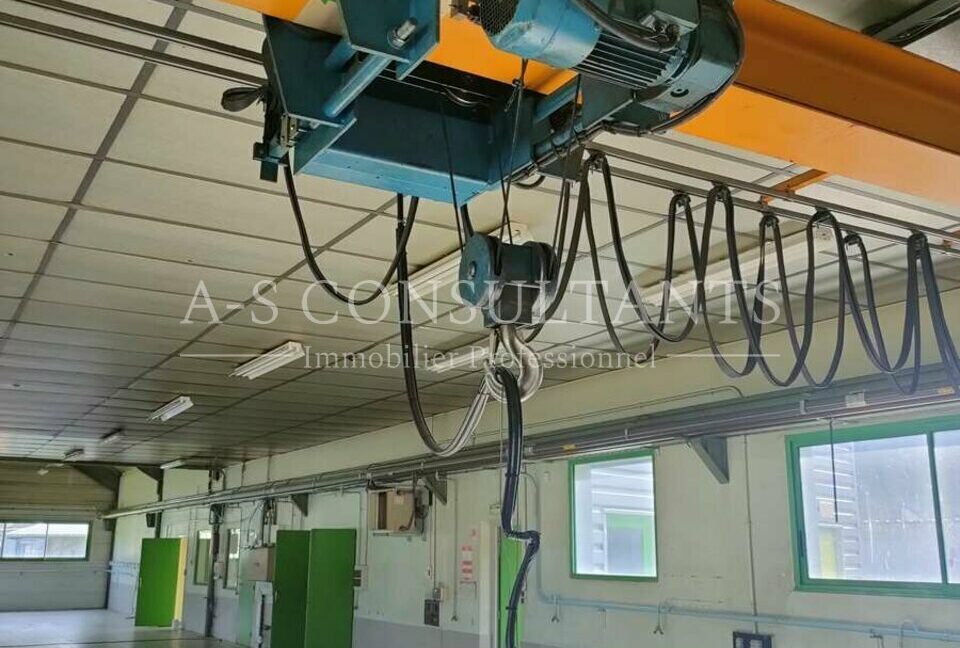 LOCAL D'ACTIVITE A VENDRE DORTAN 01_0091_5.jpg
