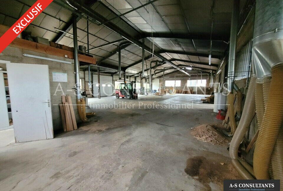 LOCAL D'ACTIVITE A VENDRE MORAS-EN-VALLOIRE 339339642_26_0247_4.jpg